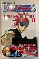 BLEACH 11 (ジャンプコミックス)　久保帯人