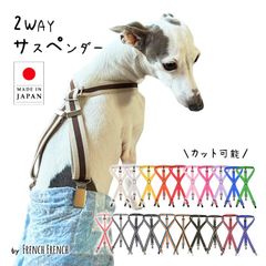 Mサイズ ボーダー 日本製 犬用サスペンダー サスペンダー 高品質 金属クリップ おむつ マナー 無地 ボーダー 全20色 犬 猫 調整可能 カット可能 ずれにくい 2点留め 3点留め 2WAY マナーパンツ スチールクリップ 天然ゴム KM605G