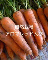 自然栽培で育てたアロマレッド人参4.8kgおまけ入り♡