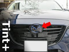 Item thumbnail for item b8745079-ee3e-41b8-81c6-66c2c4ed466b