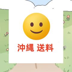 沖縄 送料追加専用ページ