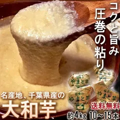 大和芋 やまといも 千葉県産 約4kg 10～15本 国産野菜 当店一押し商品！ 長芋を超える圧倒的な粘り！ とろろ蕎麦やご飯に最適なヤマイモのサムネイル
