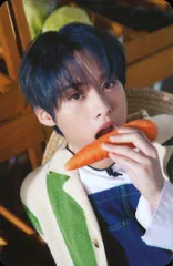 StrayKids 2023Seasons Greeting LeeKnow トレーディングカード 黄