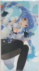 ホロライブ C101 兎田ぺこら 囚人服ver. B2タペストリー✨️ Amazon.co.jp: C101 兎田ぺこらB2タペストリー(囚人服ver