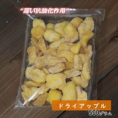 【セール開催中！】大地の生菓 ドライフルーツ ドライアップル 500g 送料無料 非常食 チャック付き袋入り りんご