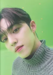 SEVENTEEN あいのちから S.COUPS トレーディングカード クリスマス