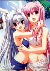 【中古】タペストリー ソル・ヴァルキリー&ハガル・ヴァルキリー B2タペストリー 「PS2ソフト 白銀のソレイユ -Contract to the Future- 未来への契約 限定版」 WonderGOO特典