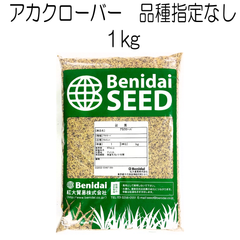 アカクローバー種子　品種指定なし　1kg【種】紅大貿易　クローバー　グランドカバーの種