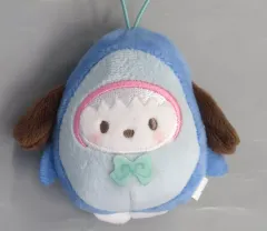 【中古】キーホルダー ポチャッコ どうぶつ着ぐるみマスコットシリーズ～サメ編～ 「サンリオキャラクターズ」