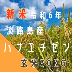新米 令和6年産 ハナエチゼン 玄米30キロ 淡路島 　30kg