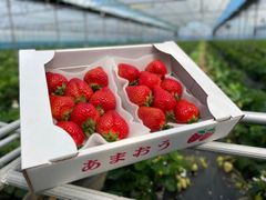 あまおう　275g×6パック　クール便