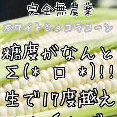 とうもろこし　ショコラホワイト