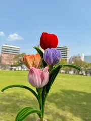 チューリップ　１輪　(むらさき)　モールフラワー