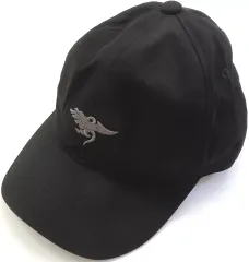 2026年最新】アキラAKIRA キャップの人気アイテム - メルカリ