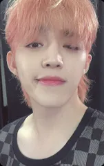 SEVENTEEN S.COUPS 2022 CARAT LAND MEMORY BOOK+ トレーディングカード