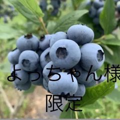 佐賀県産　完熟ブルーベリー冷凍　⭐︎2キロ⭐︎