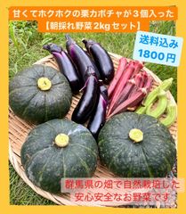 美味しい栗カボチャ3個と人気の赤オクラ‼️朝採れのぷりぷりナス！なっちゃん野菜