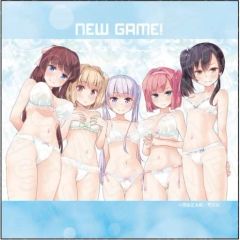 [중고] 잡화 집합 (vol.2) 마이크로 화이버 [NEW GAME!]