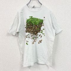 古着 used　フルーツオブザルーム　半袖プリントTシャツ　マインクラフト　クルーネック　レトロデザイン　白　ホワイト