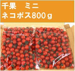 千果ミニ　800ｇ　ネコポス便