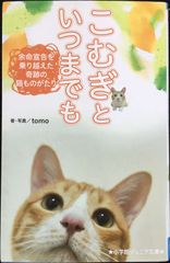 こむぎといつまでも: 余命宣告を乗り越えた奇跡の猫ものがたり (小学