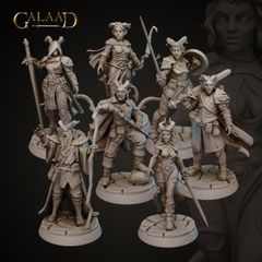 Galaad Miniatures | 2023年6月リリースTiefling7体set 32mm | 3Dプリント ミニチュア TRPG メルカリ限定商品