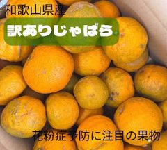 【訳あり】花粉症予防に注目の果物！じゃばら2.5キロ　14～22玉のサムネイル