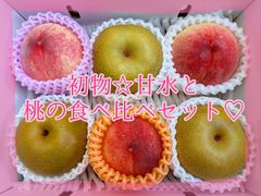 まぁ様専用クール便