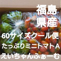 福島県産!週末限定!60サイズクール便ミニトマトとなすとピーマンとズッキーニ夏野菜セットＡ