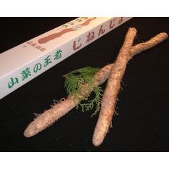 有機自然薯【訳あり品】有機JAS認証無農薬熊本県産産地直送1.2kg（1～5本）