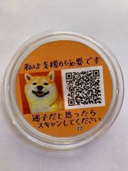 お守りバッジ(迷子対策) 柴犬