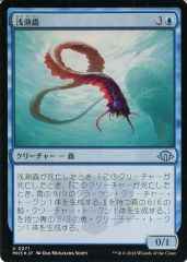 MTG 浅瀬蟲 日本語版FOIL A25 - メルカリ