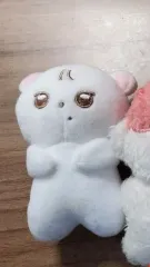 2025年最新】THEBOYZ キュー ぬいぐるみの人気アイテム - メルカリ