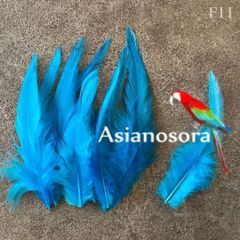 ◾️⭐︎【F11アクア】高品質 羽根 フェザー ハンドメイド 素材 鳥 パーツ　鳥の羽根