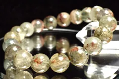 2025年最新】ガーデンスフィアの人気アイテム - メルカリ