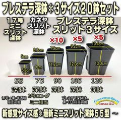 使いやすい深鉢？です。 プレステラ 深鉢 120 5個セット | Maceta