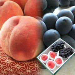 桃 ぶどう ピオーネ お中元 暑中お見舞い 残暑い お見舞い フルーツギフト 夏ギフト 内祝い [桃5玉とピオーネ2房R] 7月上旬より順次発送開始