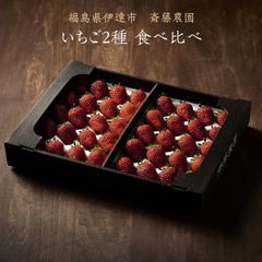 いちご 【斎藤農園】2種類 食べ比べ (15～20粒 300g)×2P 福島県伊達市 《5/1～5/10より出荷》