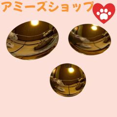 金メッキ金杯3個セット
