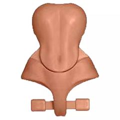 Item thumbnail for item bddf9570-b21e-4d18-beb8-4ca5d74792bc