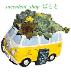 shop-thumbnail