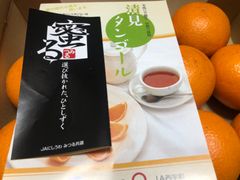 清見オレンジ「蜜る」 特秀品 箱込1.4キロ前後 愛媛県産