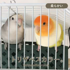 반경 3cm 🔰 초급 연습용 [🐤 부드러운 트리사베스 색상] 10팩, 잉꼬, 새
