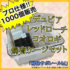 2025年最新】レッドローチの人気アイテム - メルカリ