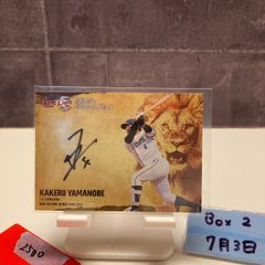 BBM 2021 阪神タイガース　井上広大　直筆サイン　79枚限定 2021 BBM 井上広大 53/79 直筆サイン 阪神タイガース カード