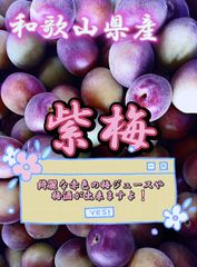 紫梅(冷凍 )5kg 家庭用 和歌山県産