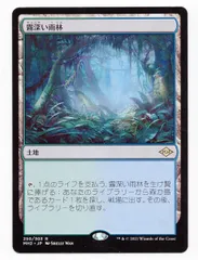 初回限定お試し価格】 010)《霧深い雨林/Misty 日本最大級