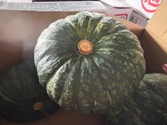 岡山県産 えびす南瓜4玉〜5玉入★4
