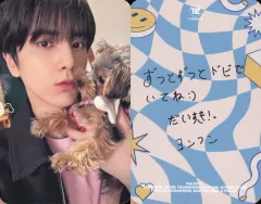 【中古】コレクションカード(男性) THE BOYZ/YOUNGHOON(ヨンフン)/裏面印刷メッセージ入り/オフィシャルファンクラブ「THE B JAPAN」会員継続特典3rd Anniversary kit オリジナルトレカ