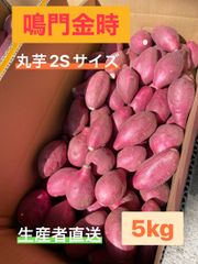 ◯●鳴門金時●◯  2Sサイズ 5kg 丸芋●◯鳴門産さつまいも◯●